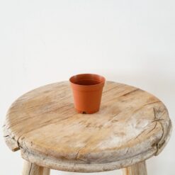 5.5 cm Plastik Saksı
