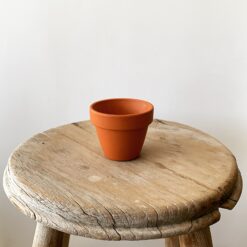 Toprak Saksı 7 cm